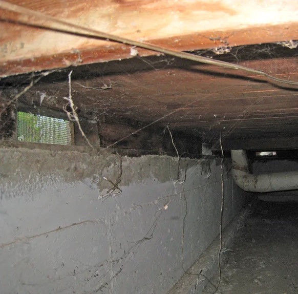 Crawlspace Vent Sealing & Conditioning in Frisco, TX