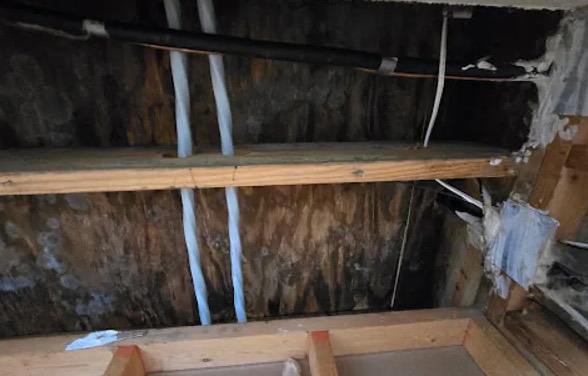Attic Damage Restoration in Frisco, TX