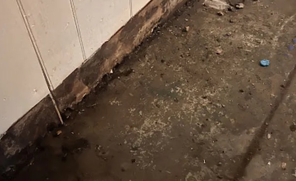 Crime Scene Cleanup in Frisco, TX
