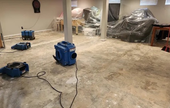 Document Drying & Restoration in Frisco, TX