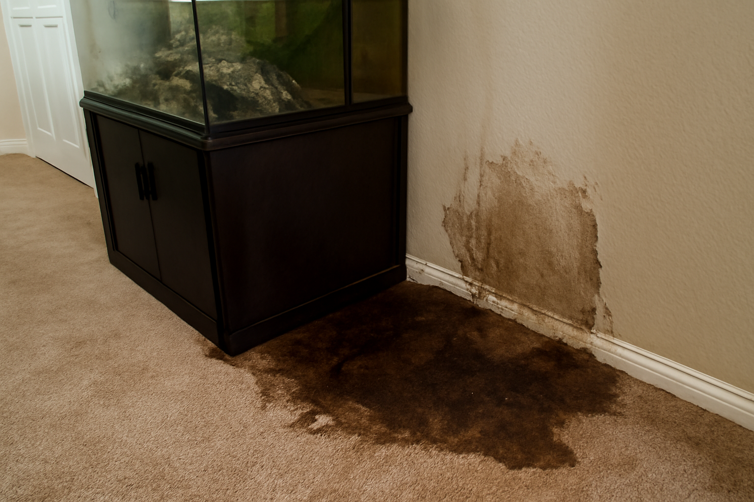 Aquarium Leak Water Removal in Benbrook, TX