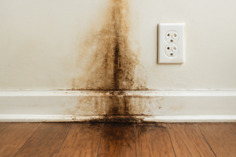 Water Leak Detection